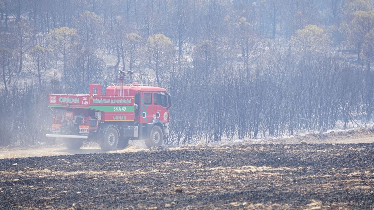 Tekirdağ'daki Orman Yangınına Müdahale Başlatıldı