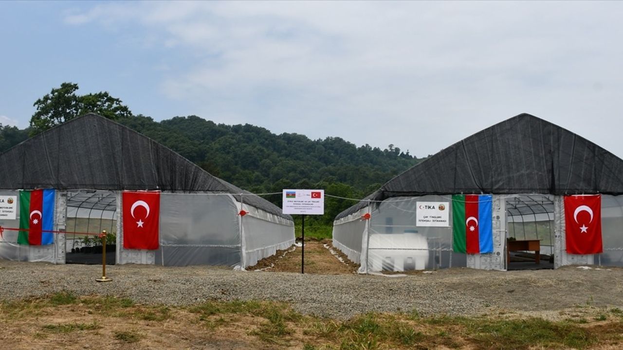 TİKA, Azerbaycan’da Modern Sera Projesi ile Tarımda Kaliteyi Artırıyor