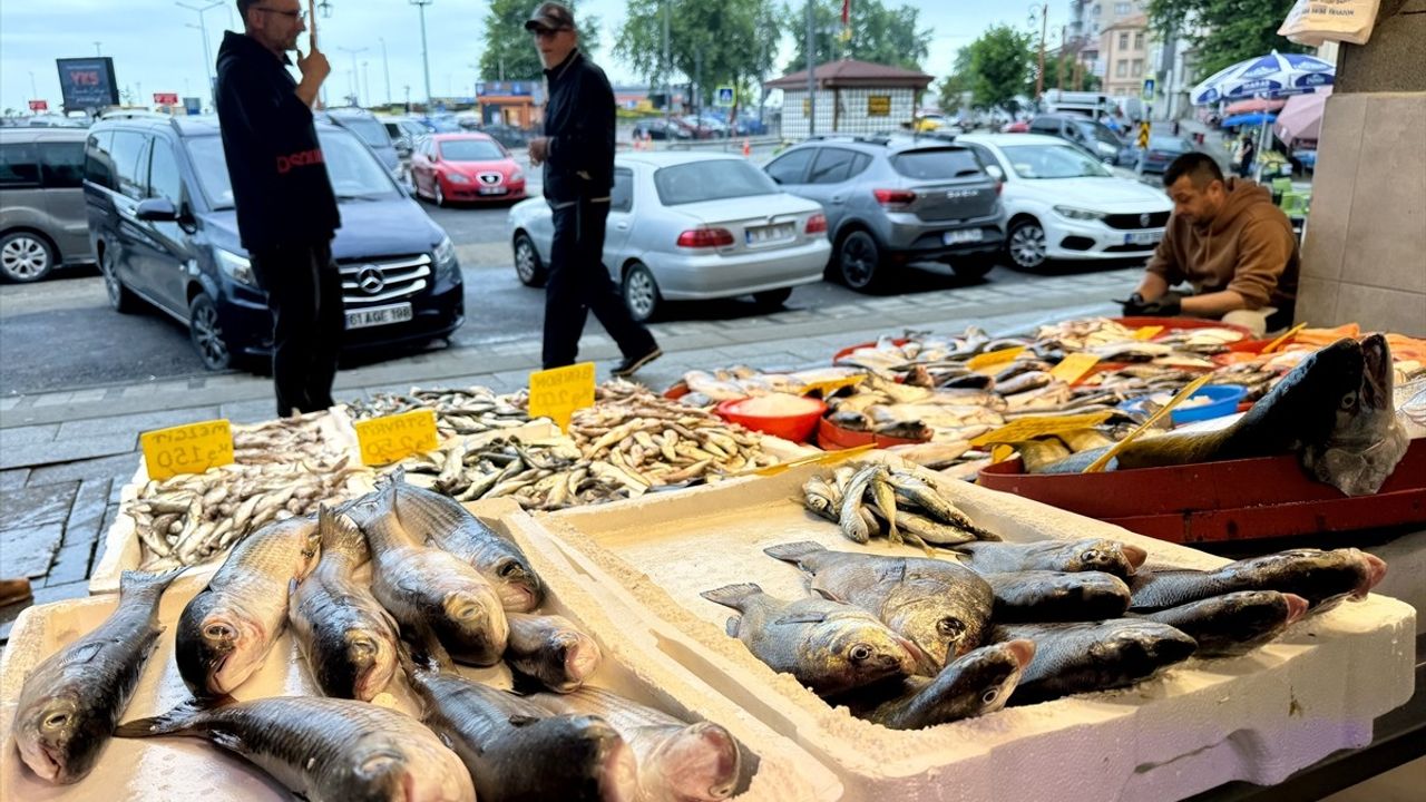Trabzon Balıkçılarında Bereket Dönemi