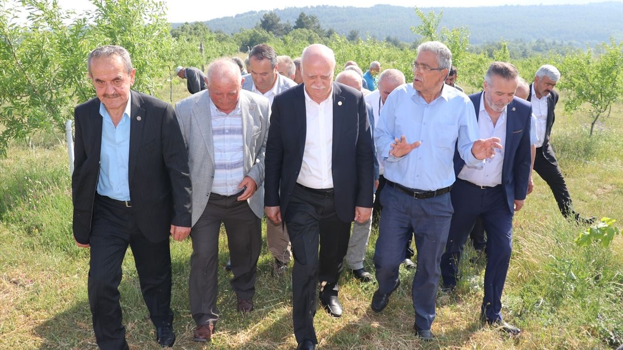 TZOB Başkanı Şemsi Bayraktar, Karabük'te Zirai Dondan Etkilenen Tarım Alanlarını İnceledi