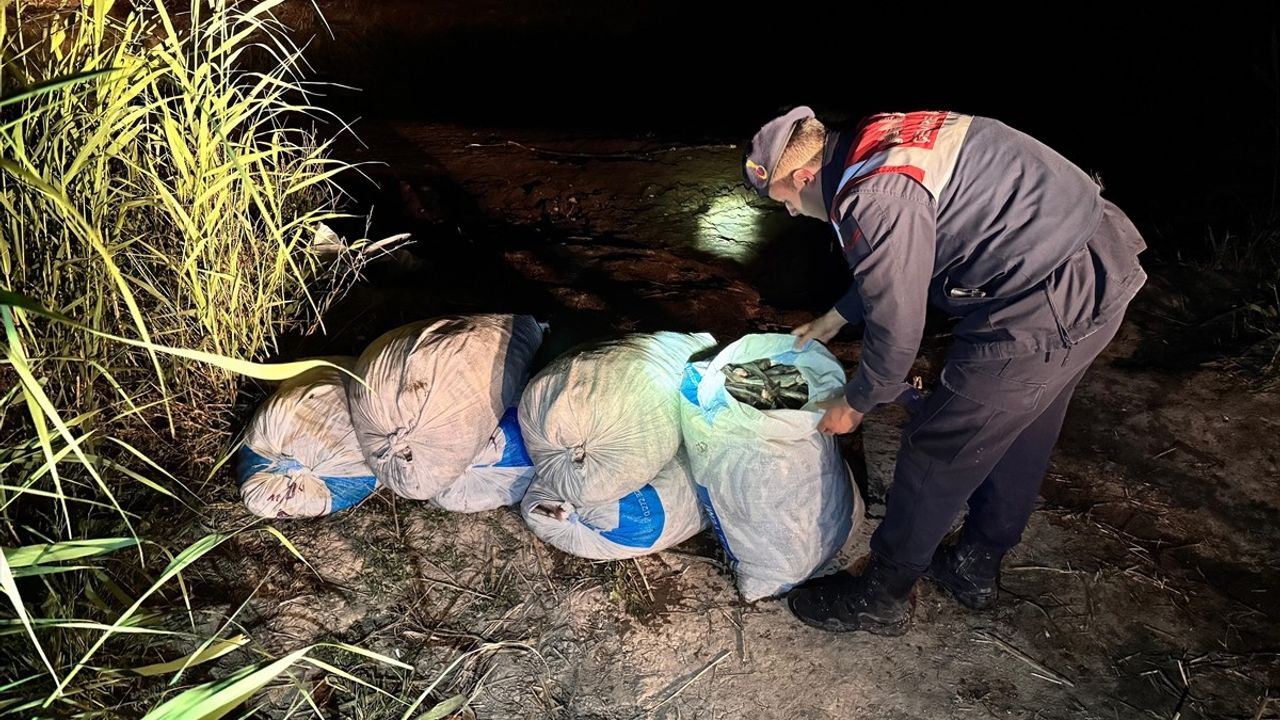 Van'da 1 Ton 970 Kilogram Kaçak İnci Kefali Ele Geçirildi