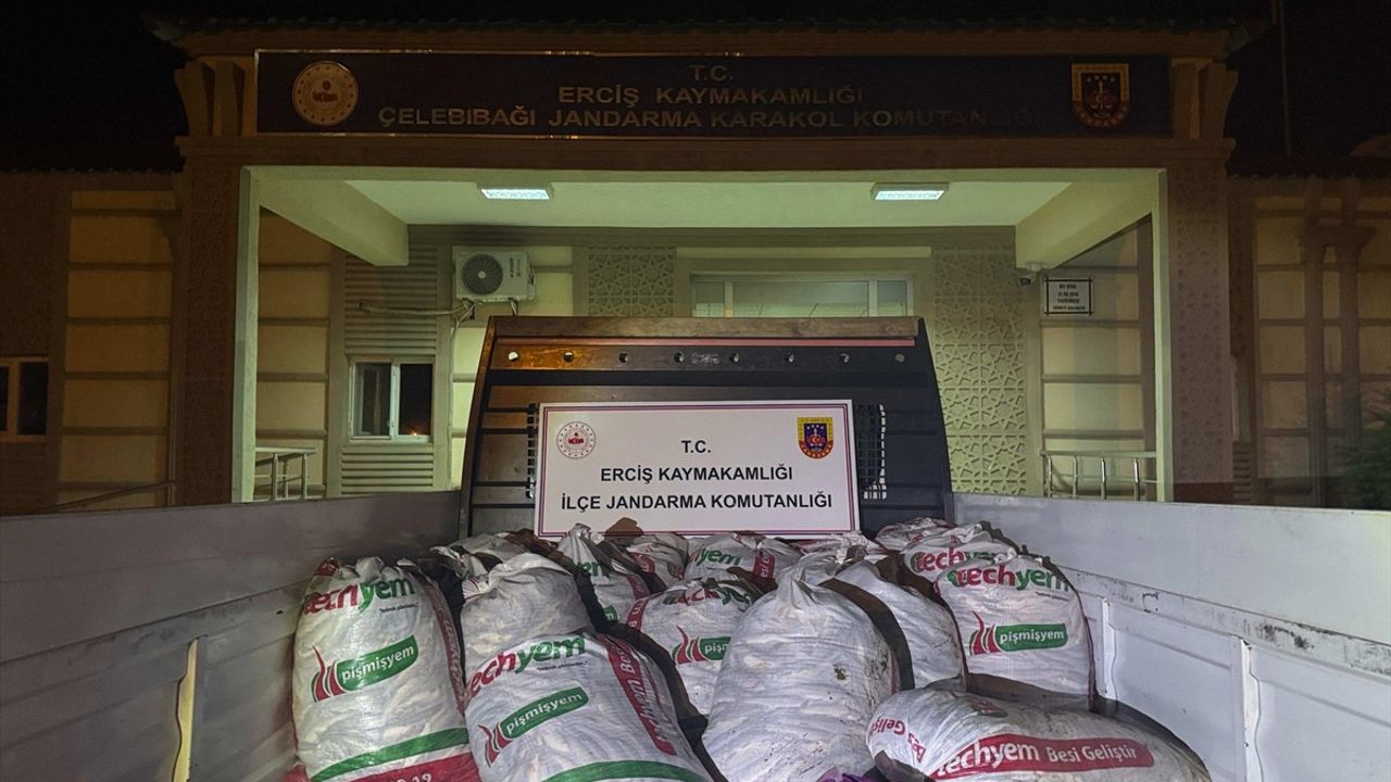Van'da 2 Ton Kaçak İnci Kefali Ele Geçirildi