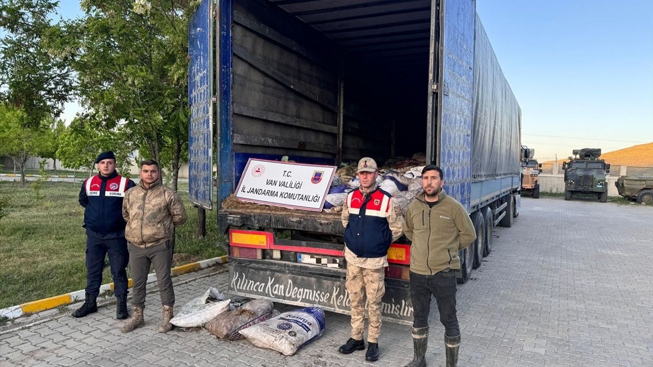 Van'da Kaçak Avlanan 19 Ton 200 Kilogram İci Kefali Ele Geçirildi