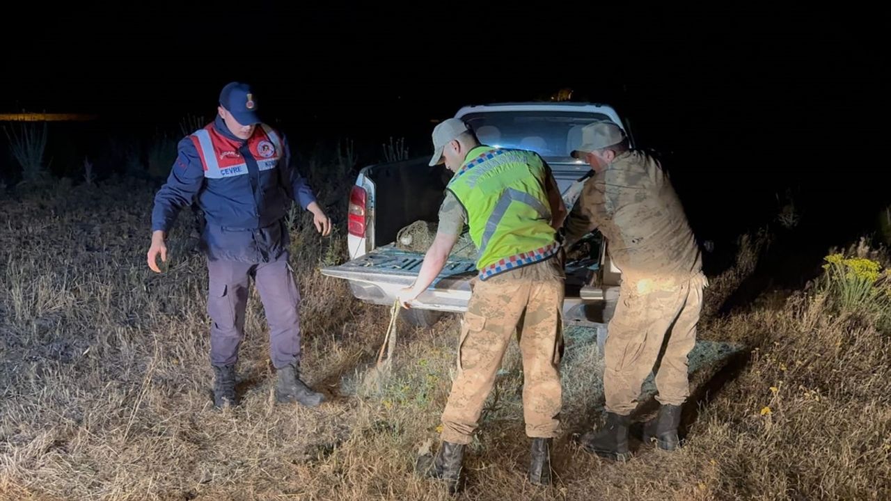 Van'da Kaçak Avlanan Inci Kefalleri Suya Bırakıldı