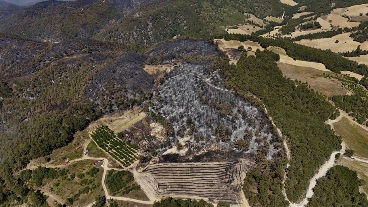 Yangınla Mücadele Sürüyor: Sakarya ve Bilecik'teki Orman Yangınına Hızla Müdahale