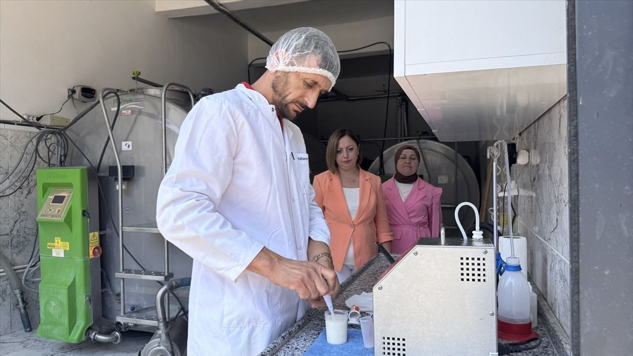 Zonguldak'ta Süt Toplama Kapasitesi Artıyor: TKDK'dan 3,4 Milyon Lira Destek