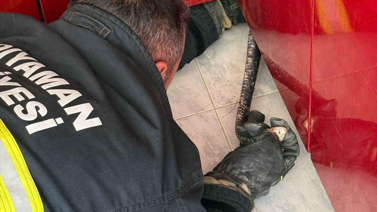 Adıyaman'da Mutfakta Yılan Paniği