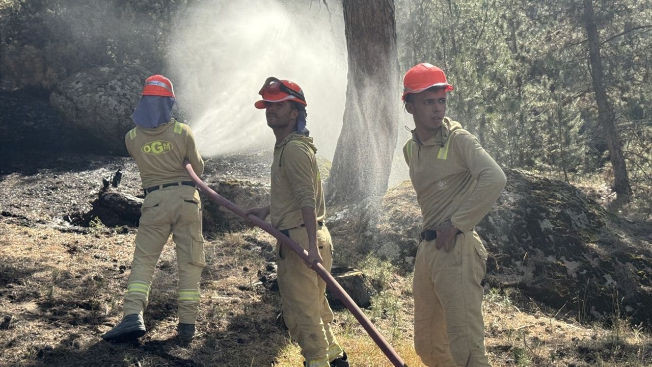 Afyonkarahisar'daki Orman Yangını Kontrol Altına Alındı