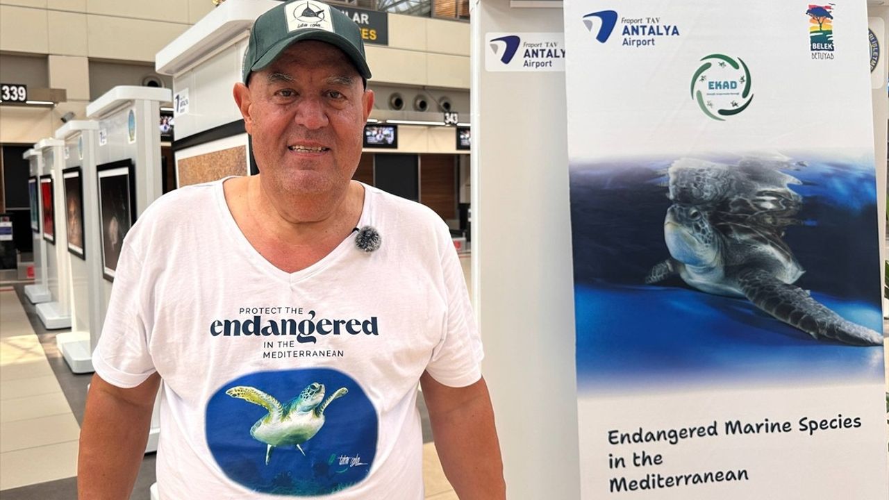 Akdeniz'de Nesli Tehlike Altında Olan Türler Sergisi Antalya'da Açıldı