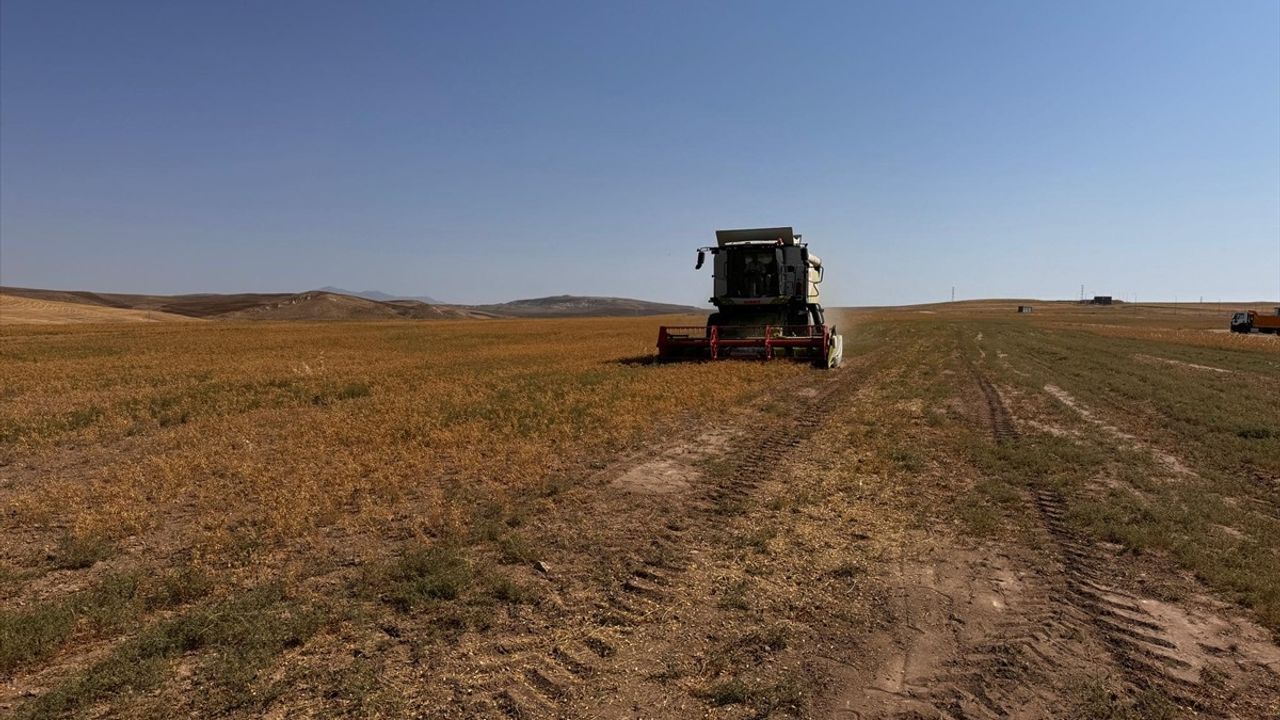 Aksaray'da İhtiyaç Sahiplerine Nohut Dağıtımı