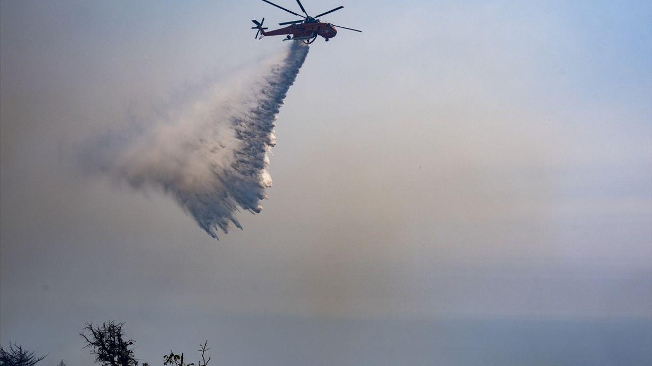 Alanya'daki Orman Yangını Kontrol Altında