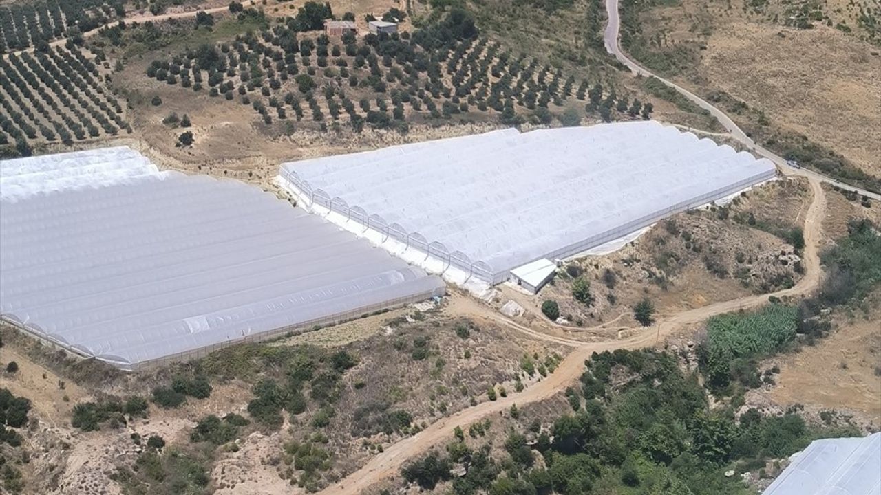 Antalya'da Makilik Alanda Yangın Çıkışı ve Müdahale Çalışmaları