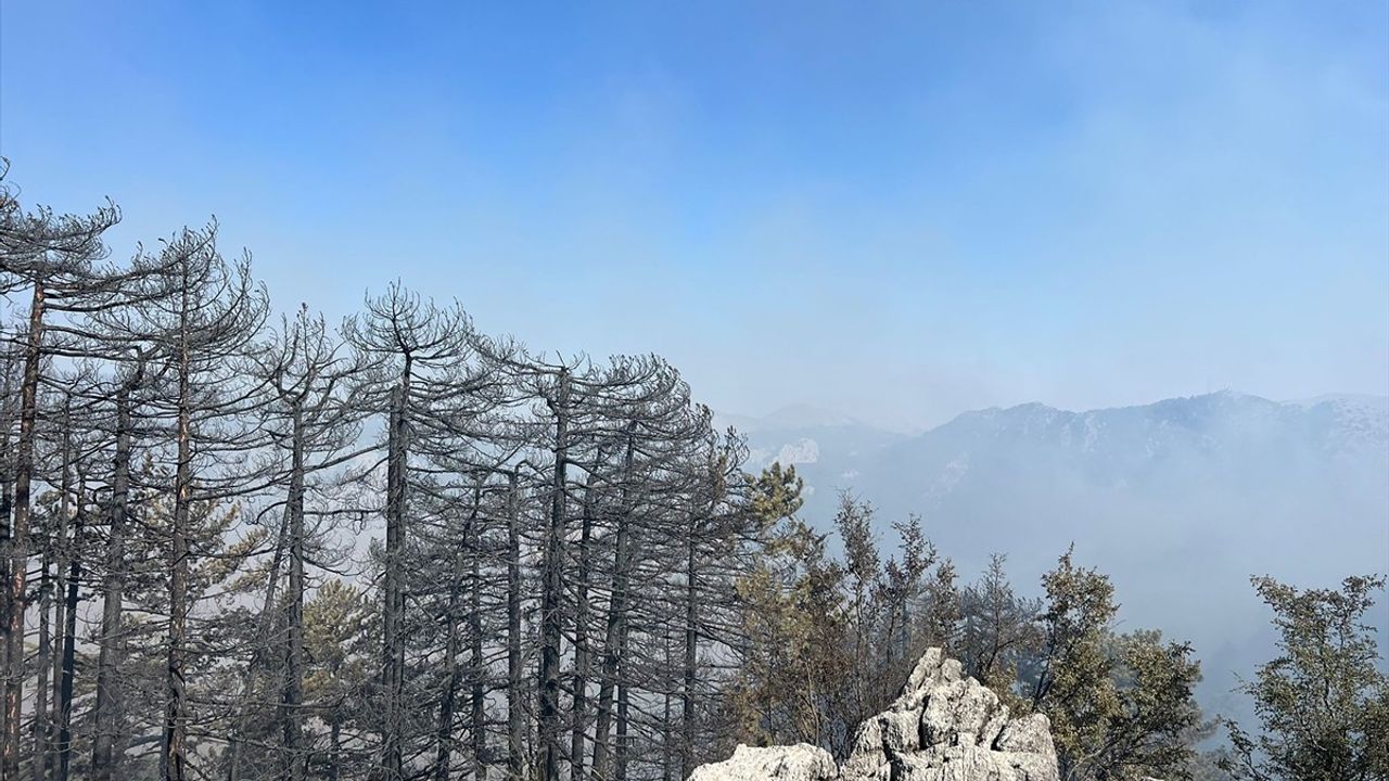 Antalya'daki Orman Yangınlarına Hızla Müdahale