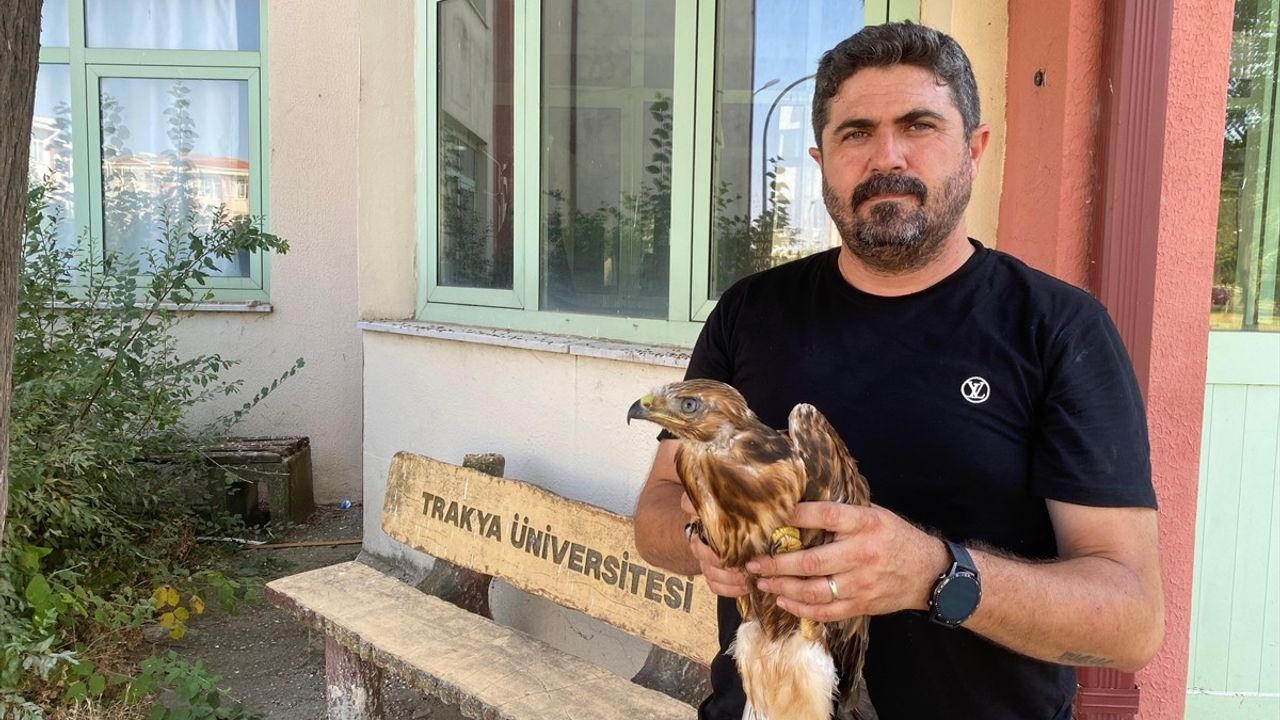 Aşırı Sıcaklar Yaban Hayvanlarını Olumsuz Etkiliyor