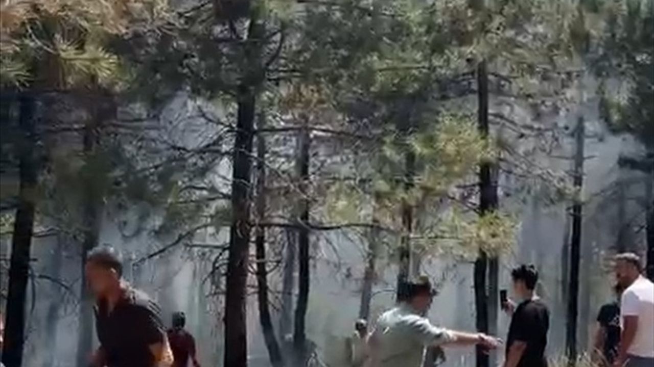 Aydos Ormanı'nda Yangın Alarmı