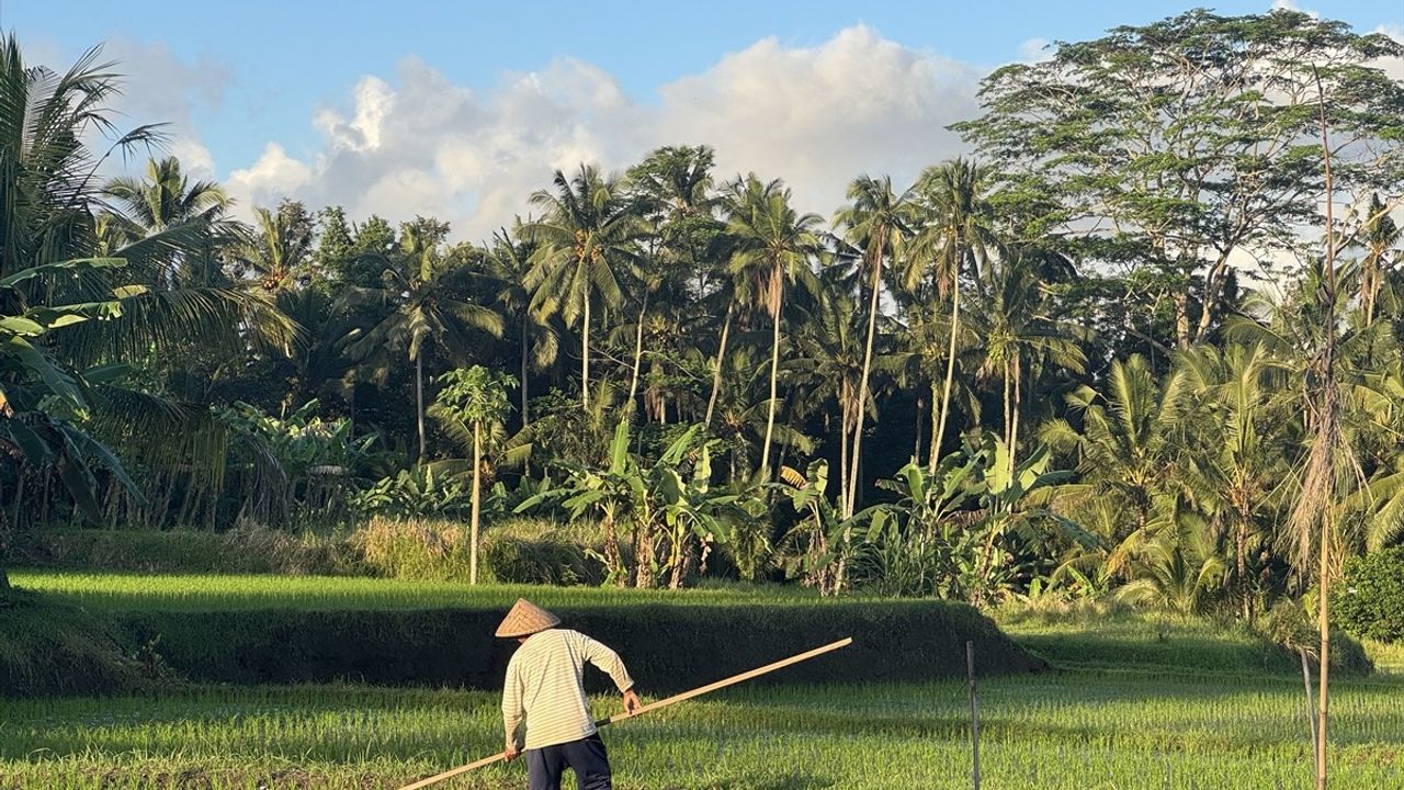 Bali: Sosyal Medya Turizminin Yeni Merkezi