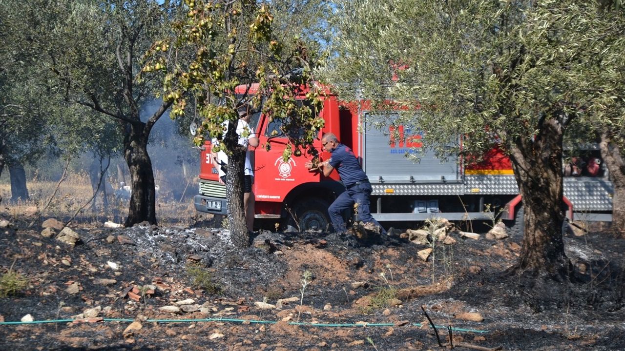 Balıkesir'de Zeytinlik Yangını Kontrol Altına Alındı