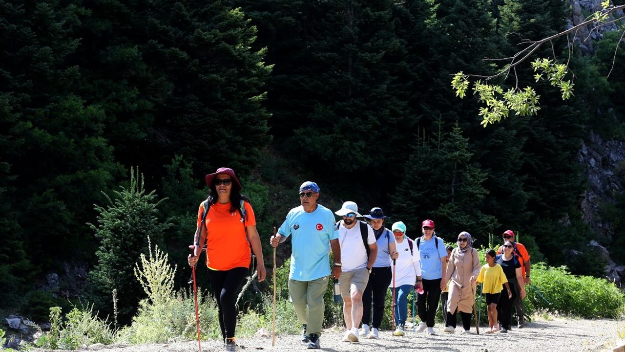 Berçin Yaylası: Doğaseverlerin Yeni Sığınağı