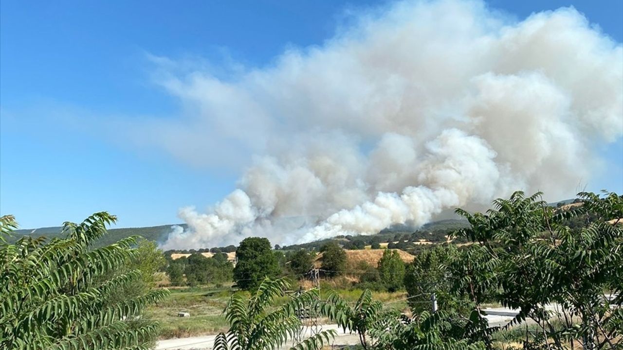 Bilecik'te Anız Yangını Ormana Sıçradı