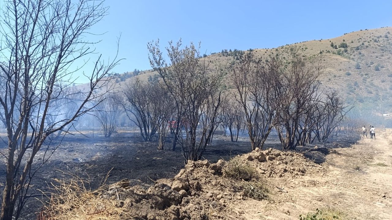 Bilecik'te Tarım Arazisinde Yangın Kontrol Altına Alındı