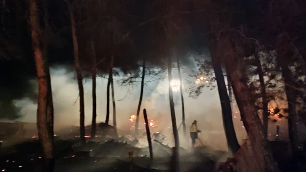 Bilecik'teki Yangın: Çiftlikte 95 Hayvan Telef Oldu