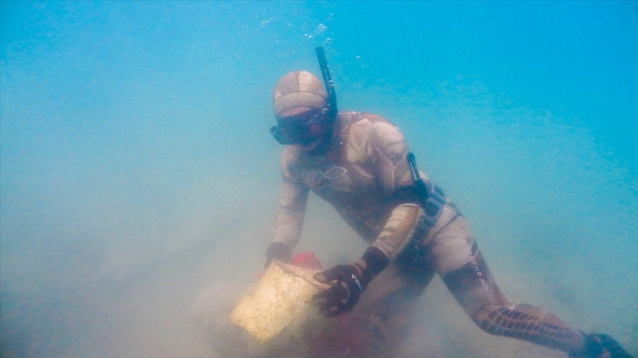 Bodrum'da Deniz Dibi Temizliği Etkinliği