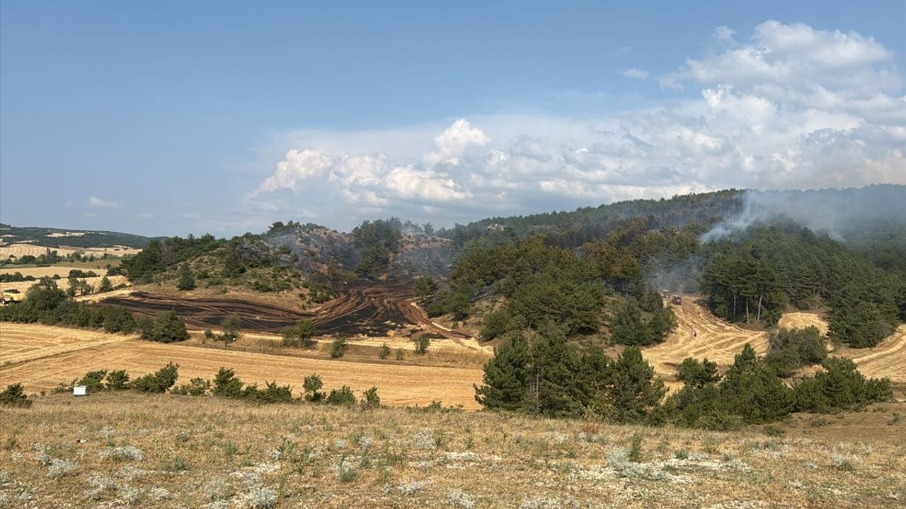Bolu'da Orman Yangınlarıyla Mücadele Devam Ediyor