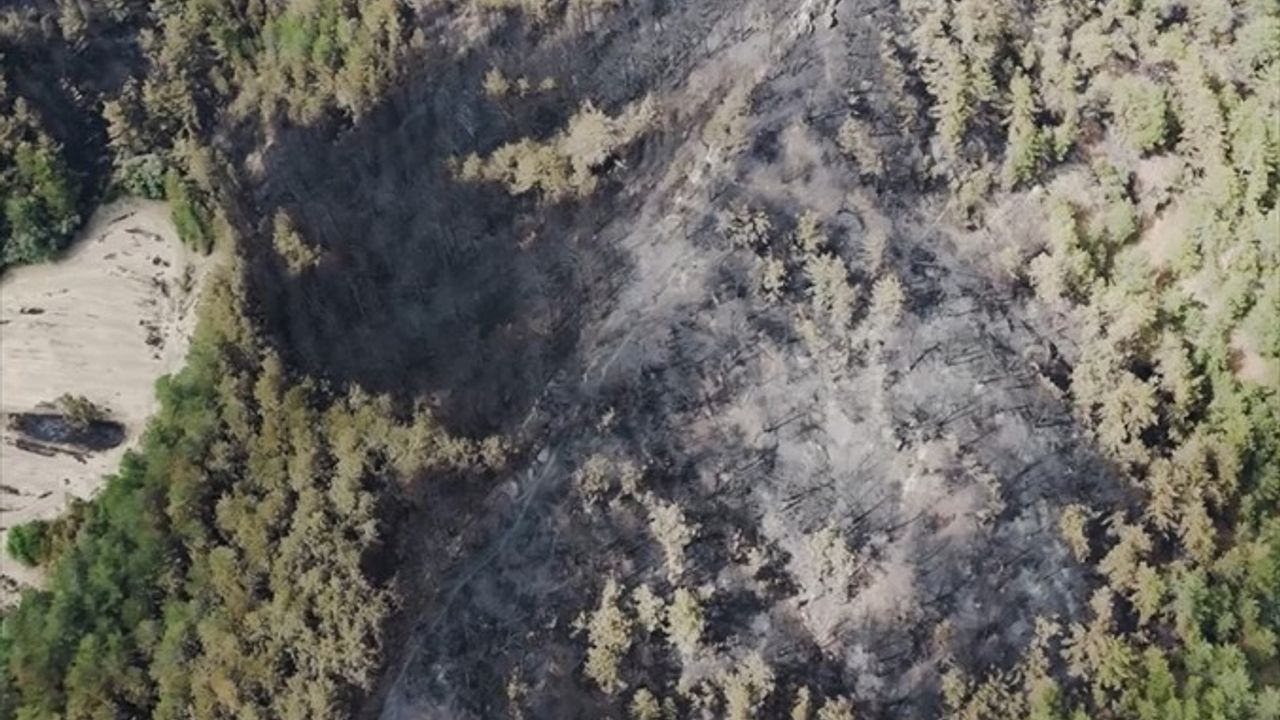 Bolu Göynük'teki Orman Yangını: 35 Hektar Zarar Gördü