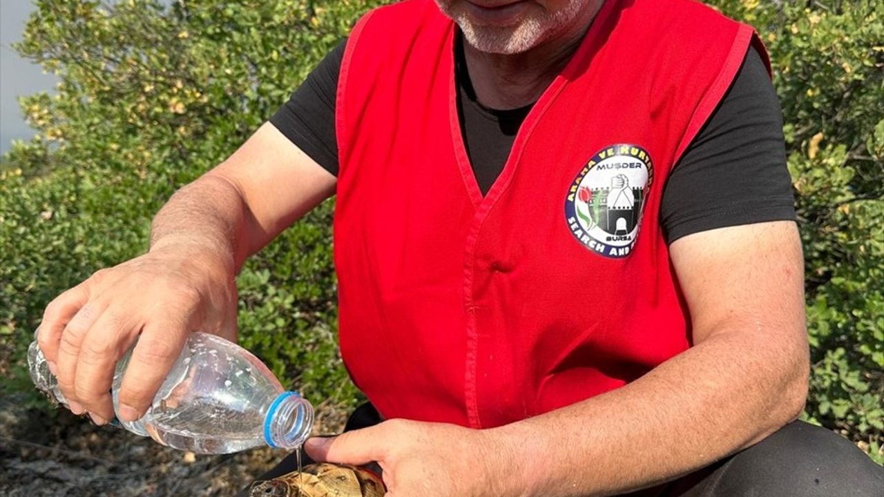 Bursa'daki Orman Yangını 5. Gününde İle Mücadele Devam Ediyor