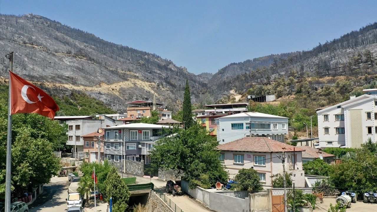 Bursa'da Yangın Felaketi: Karahıdır Mahallesi Sakinleri Yeniden Yeşil Günlere Dönmeyi Bekliyor