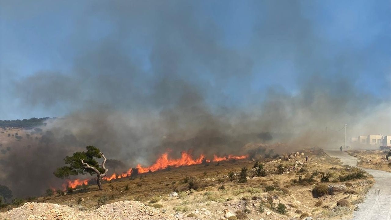 Çanakkale'de Orman Yangınına Müdahale