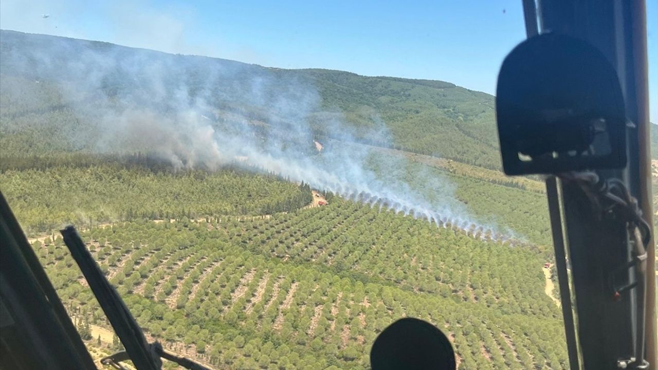 Çanakkale Lapseki'de Orman Yangınına Hızlı Müdahale