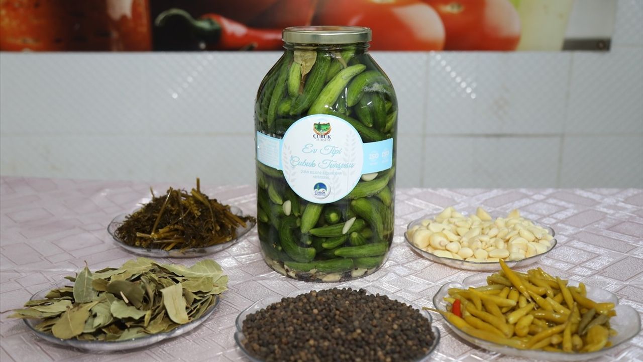 Çubuk Turşusunda Hasat Sezonu Başladı