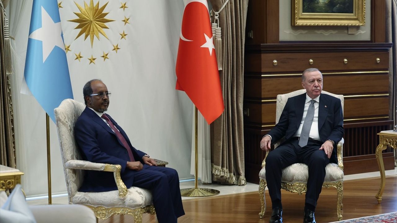 Cumhurbaşkanı Erdoğan ve Somali Cumhurbaşkanı Mahmud Görüşmesi
