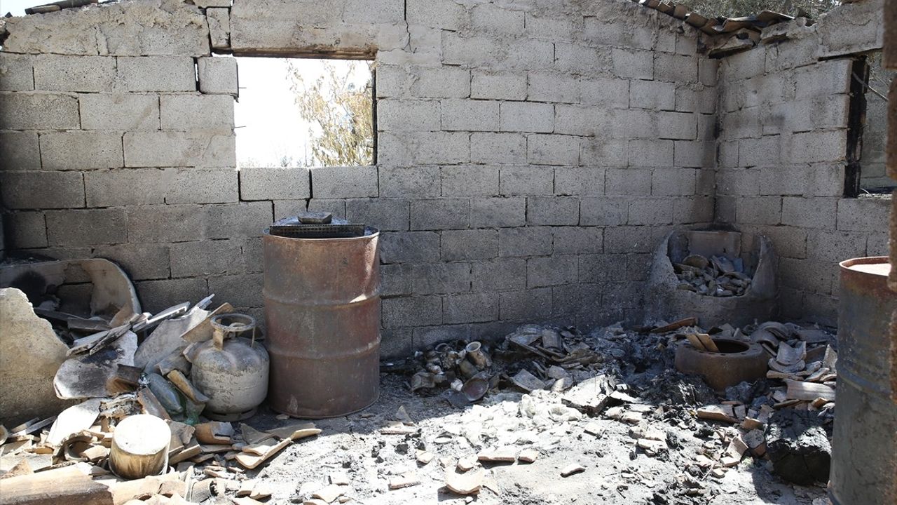 Deprem ve Orman Yangını: Aysel Erbaş'ın İkili Zorluğu