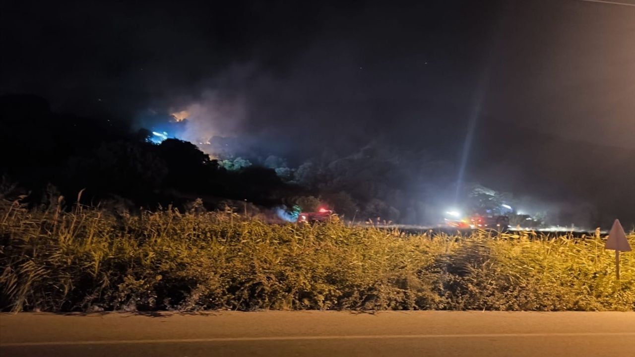 Dikili'de Yangın Mücadelesi Devam Ediyor
