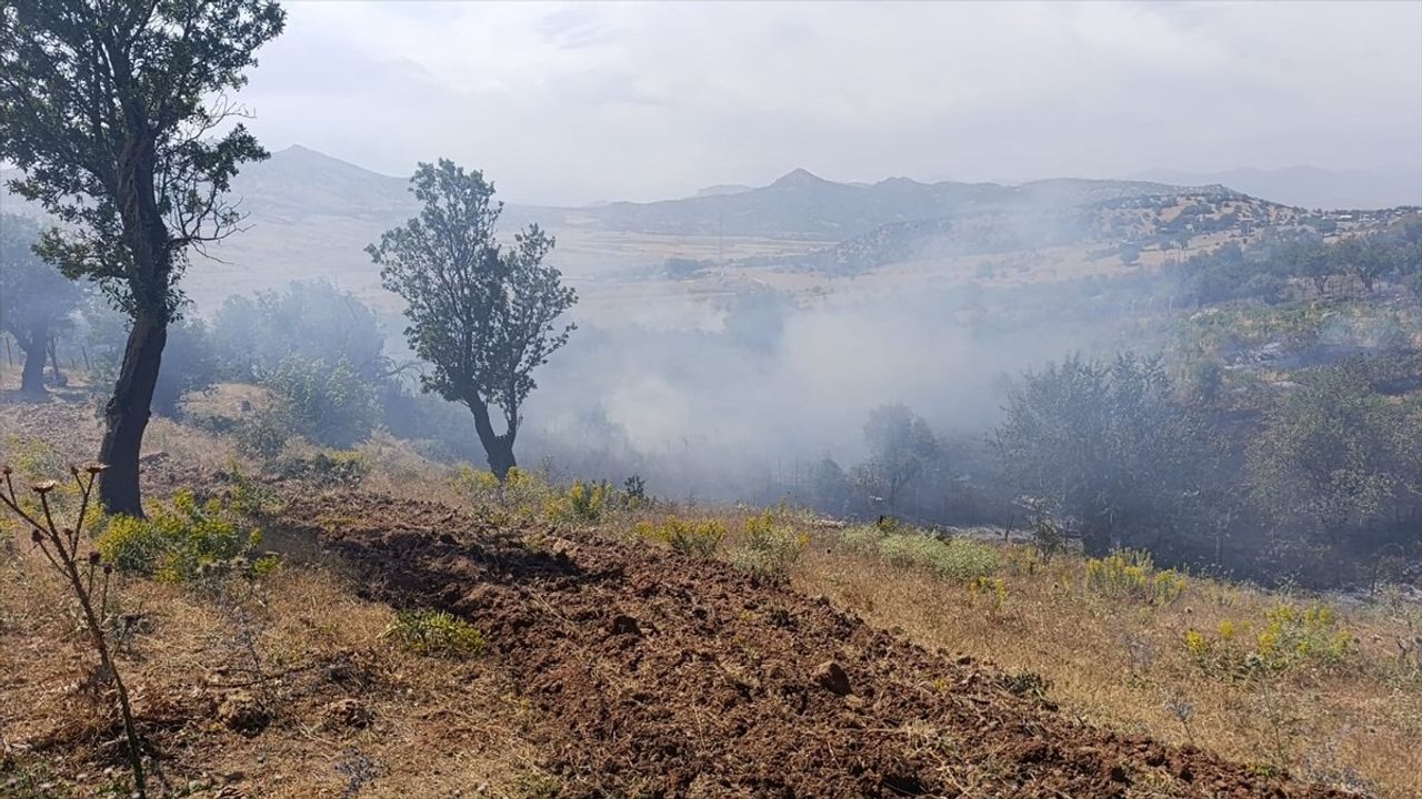 Diyarbakır'da Orman Yangınları Kontrol Altına Alındı