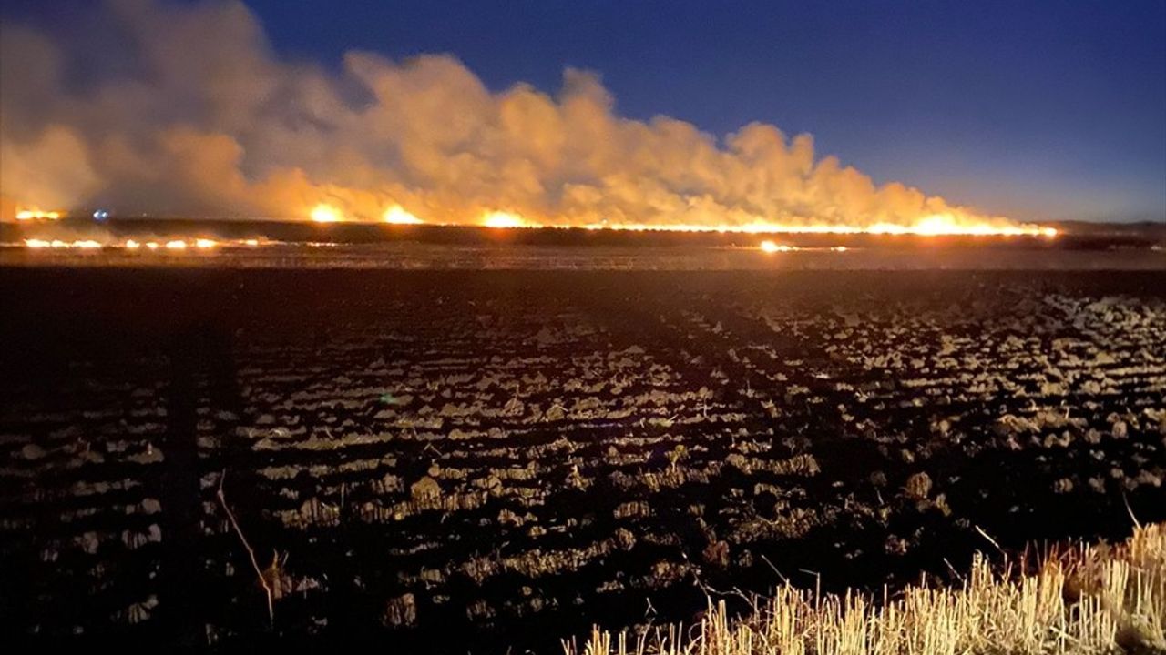 Diyarbakır'da Tarım Arazisinde Yangın Kontrol Altına Alındı