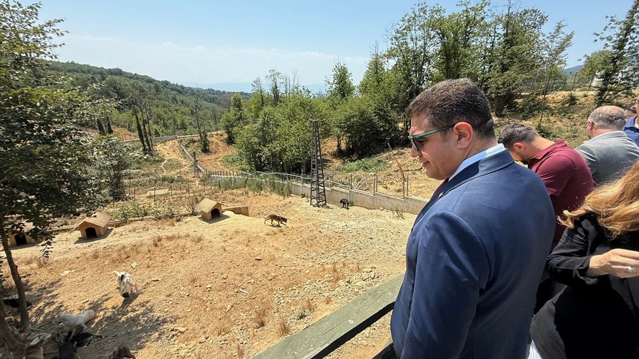 Düzce Kurtsuyu Hayvan Barınağı Genişliyor