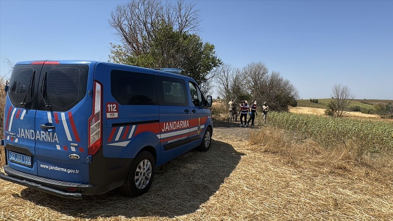 Edirne'de Ayçiçeği Tarlasındaki Cinayet