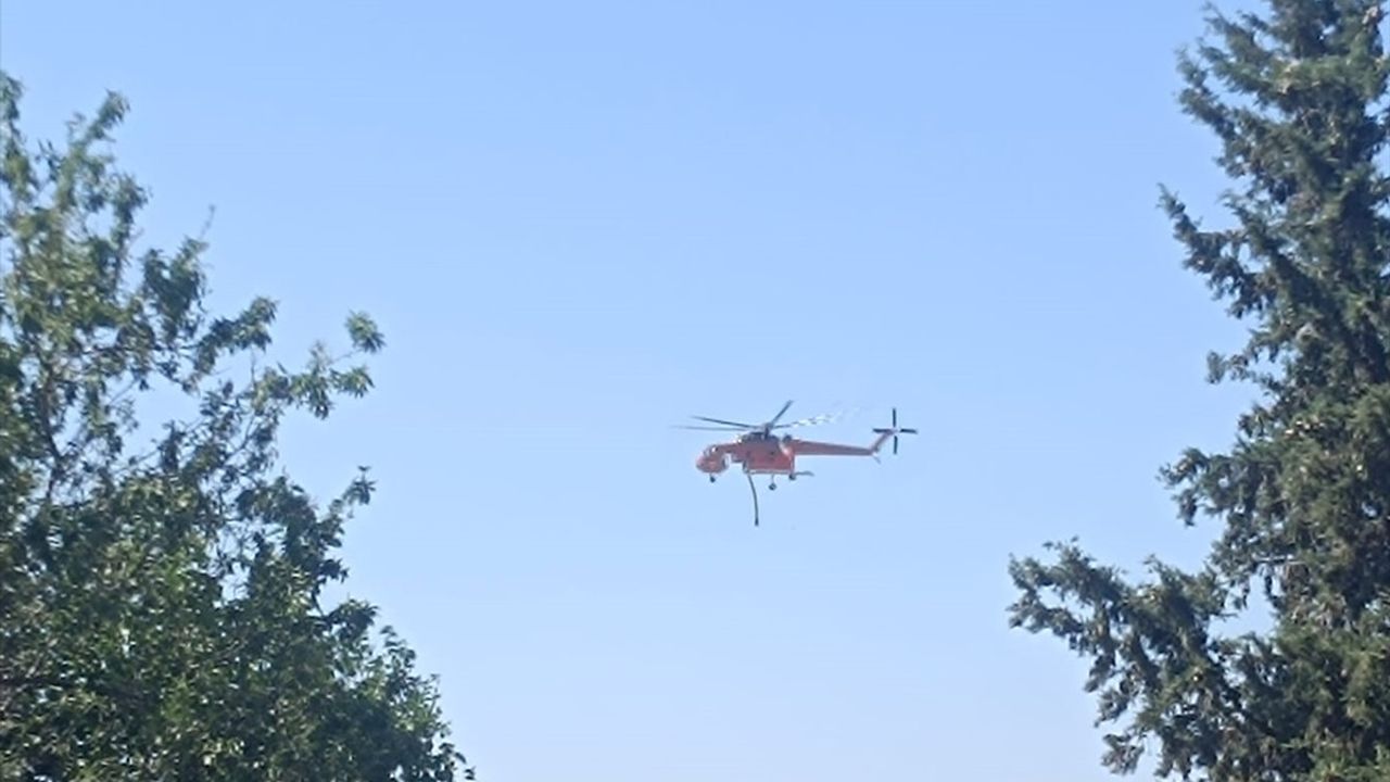 Edirne'deki Orman Yangınına Hızla Müdahale