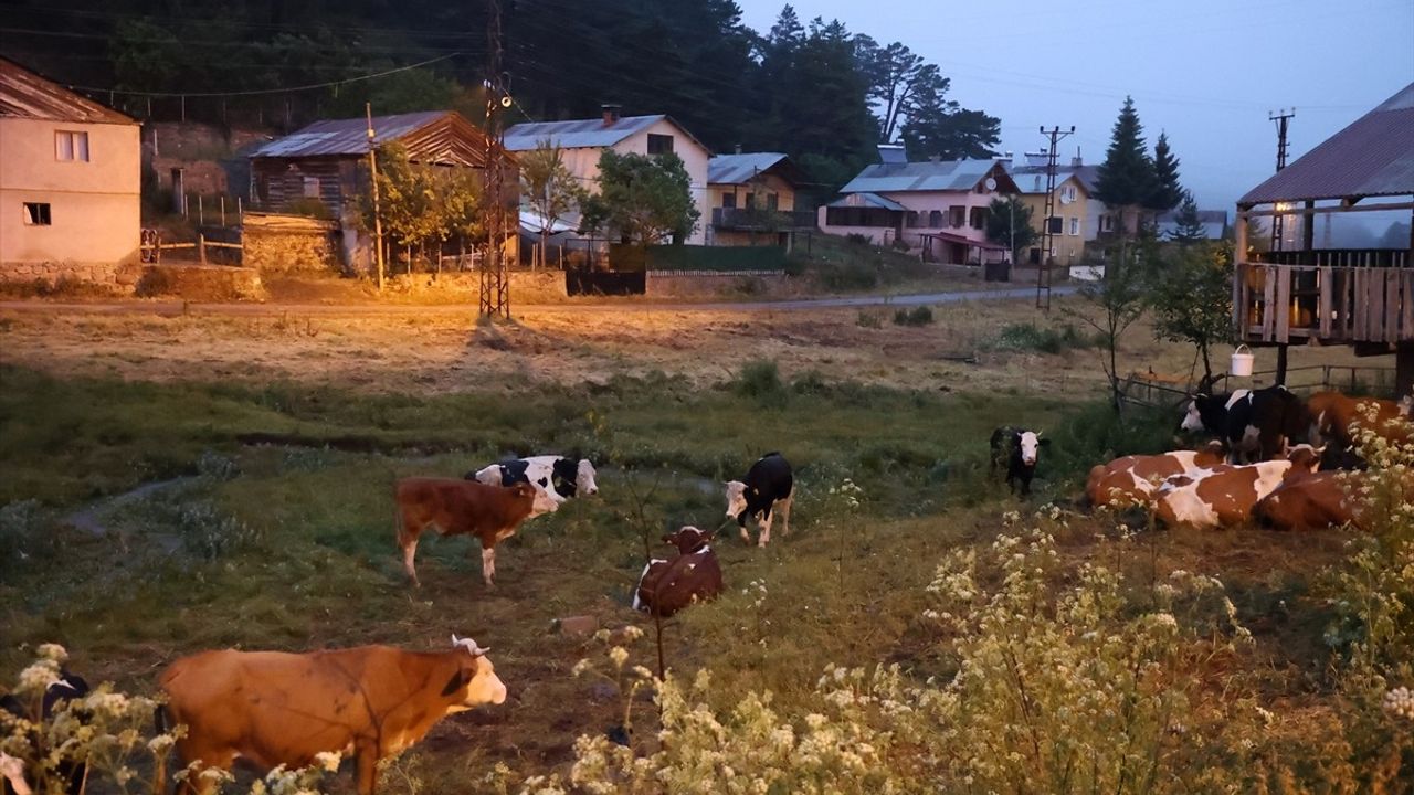 Eğriçimen Yaylası'nda Soğuk Hava ve Sağanak Etkisi