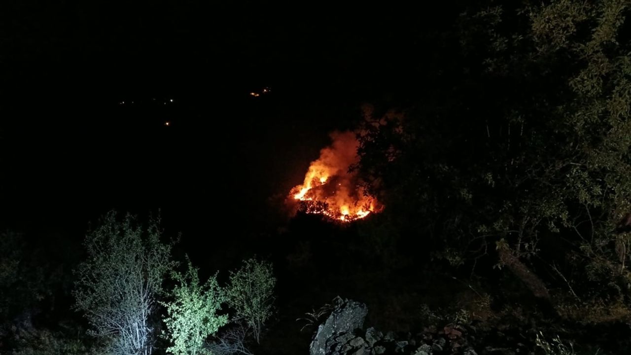 Elazığ'da Kırsal Yangınla Mücadele Devam Ediyor