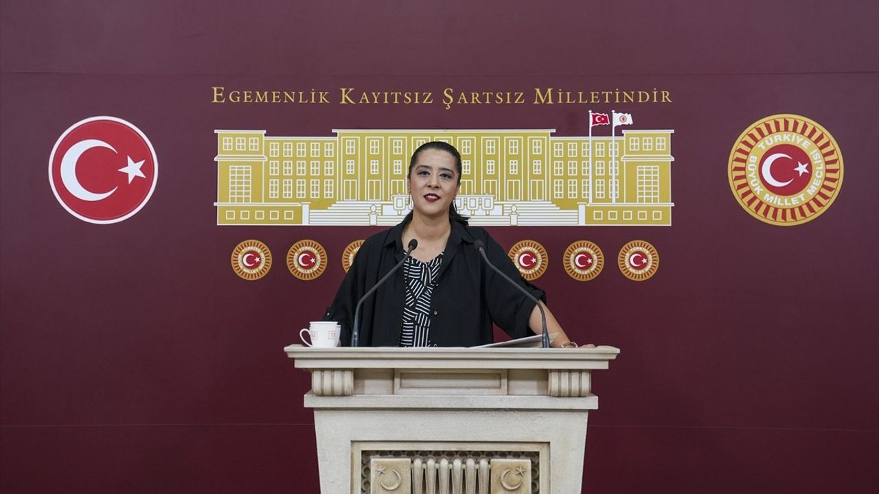 EMEP'li Demir'den Proje Okulları Yönetmeliği'ne Eleştiri