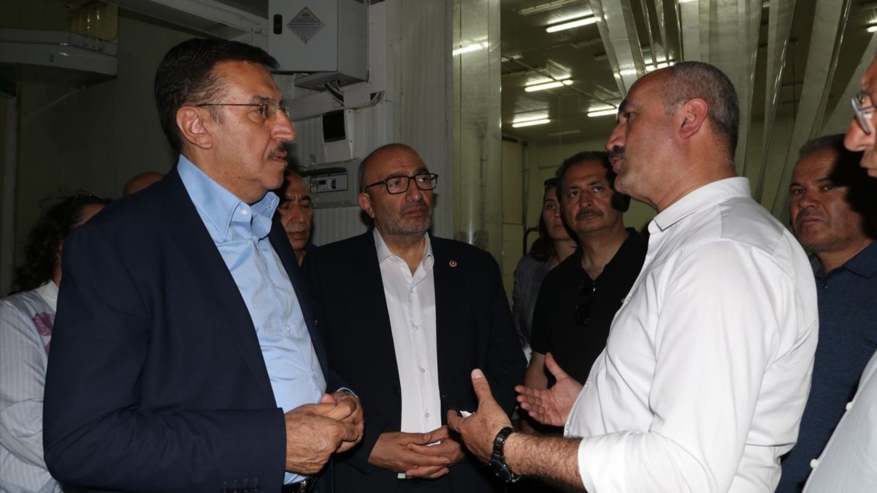 Eskişehir'de Zirai Don İncelemesi: Komisyon Çiftçilerin Durumunu Değerlendirdi
