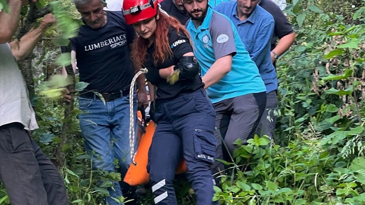 Giresun'da Yamaçtan Yuvarlanan Yaşlı Adam Yaralandı