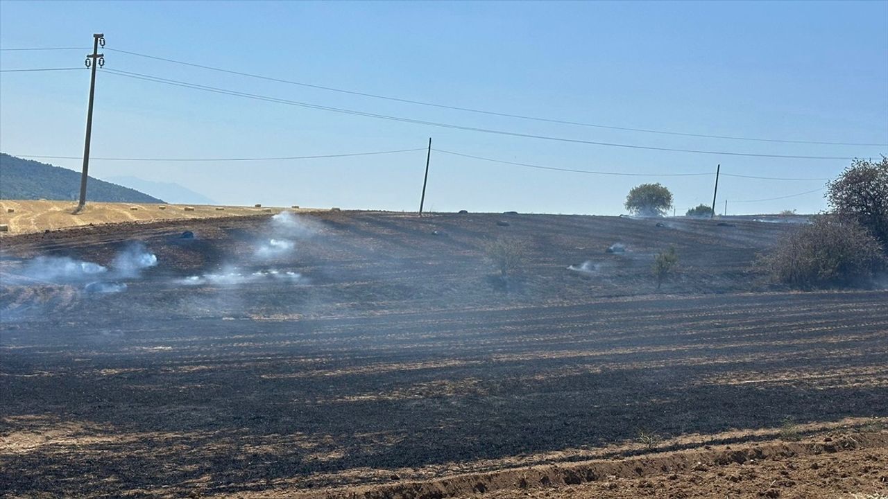 Isparta'da Ekin Tarlasında Yangın Söndürüldü
