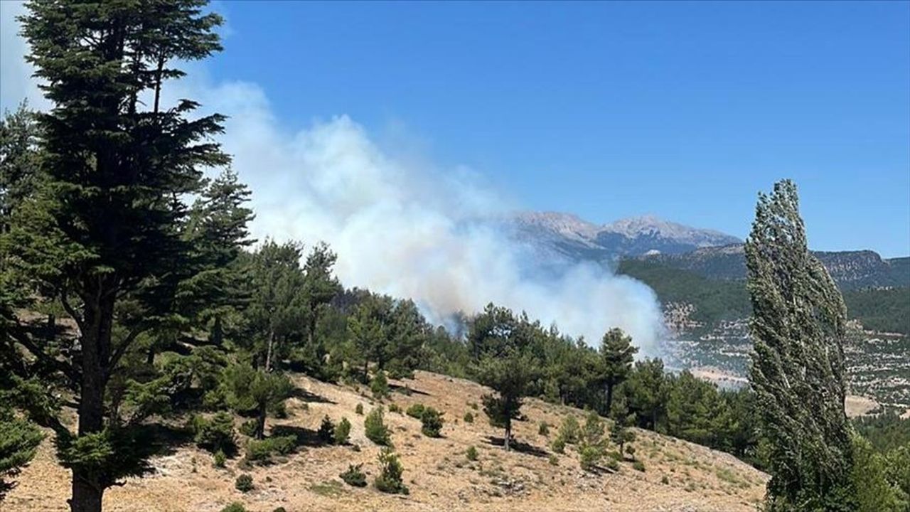 Isparta'da Orman Yangınına Müdahale Başlatıldı