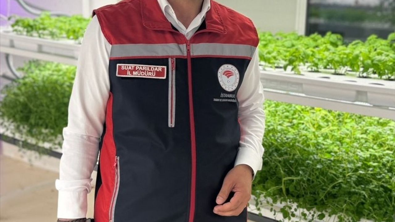 İstanbul Kapalı Dikey Tarım ile Yerli Biber Fidesi Üretimi