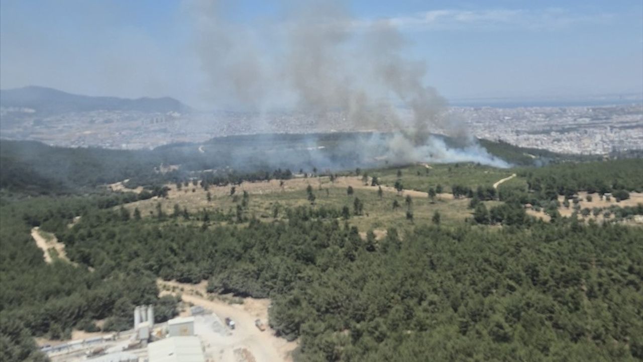 İzmir Buca'daki Orman Yangınına Müdahale